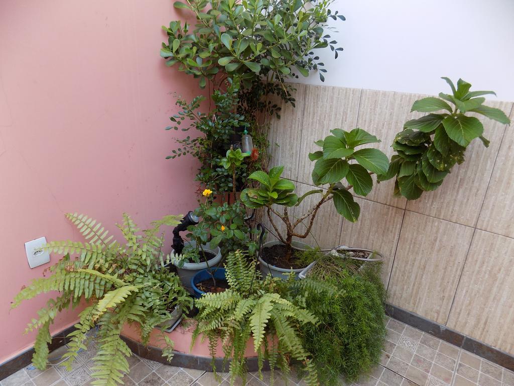 Albergue Rio Vermelho Σαλβαντόρ Εξωτερικό φωτογραφία